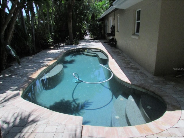 view of pool featuring a patio