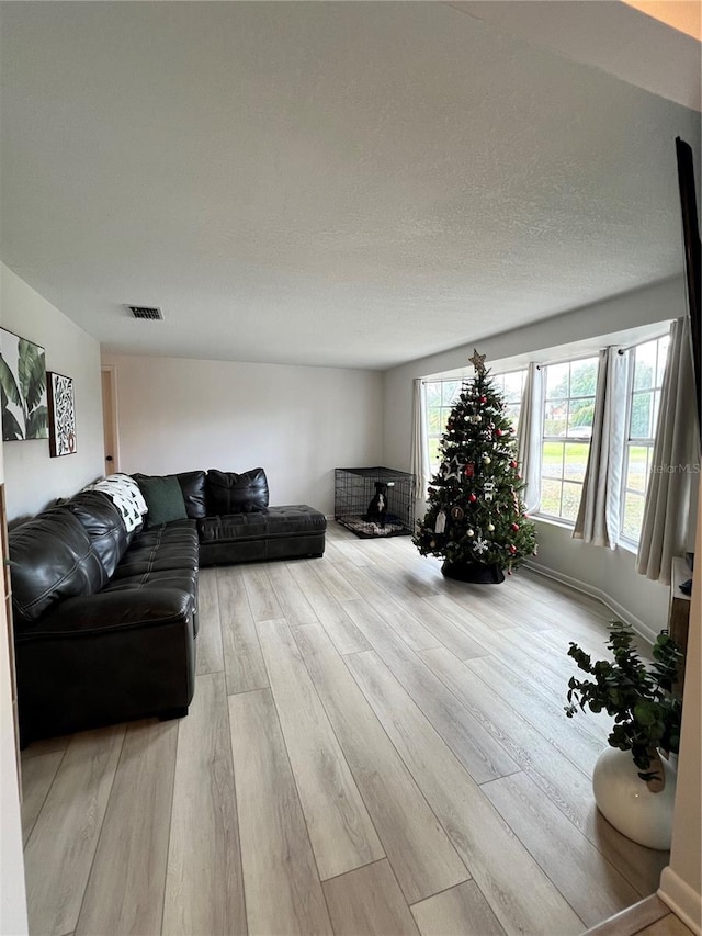 living room featuring a textured ceiling and light hardwood / wood-style flooring