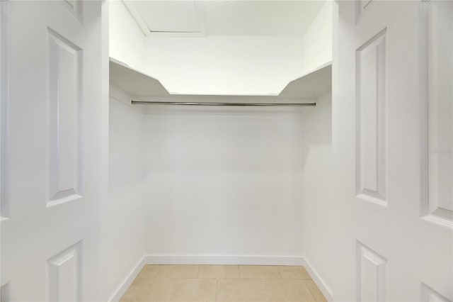 view of walk in closet