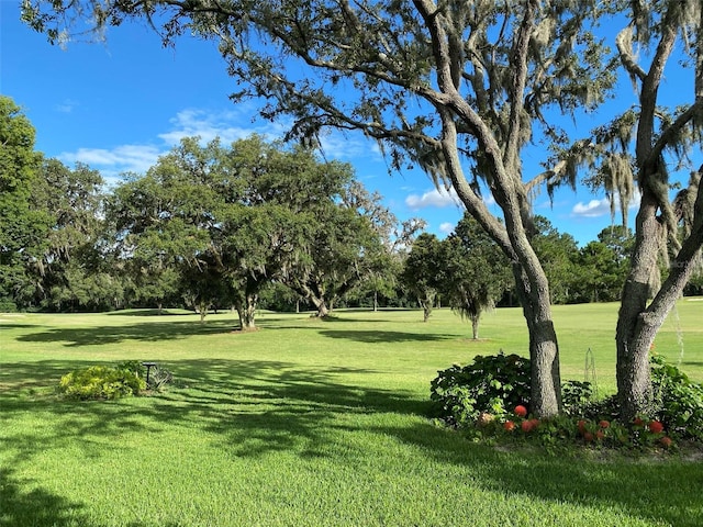 surrounding community featuring a lawn