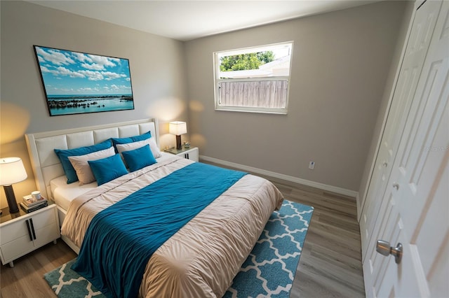 bedroom with a closet and wood-type flooring