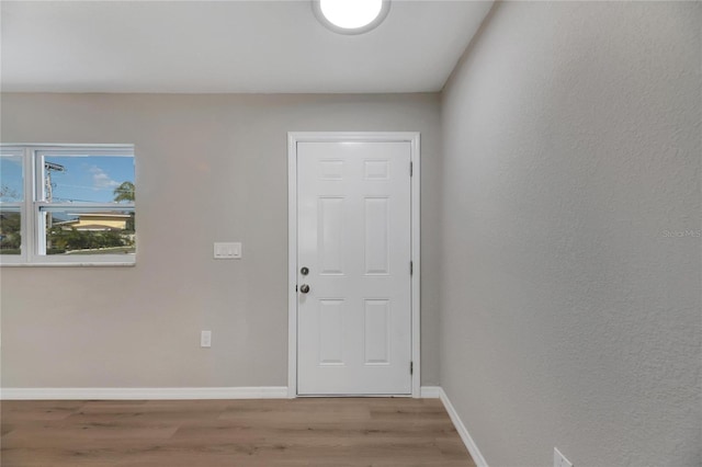 entrance foyer featuring light hardwood / wood-style flooring