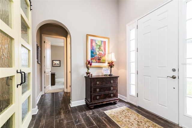 foyer with a wealth of natural light and dark hardwood / wood-style flooring