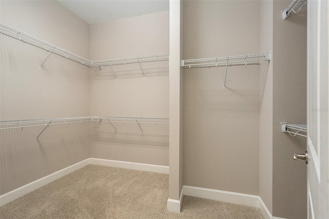 spacious closet with carpet