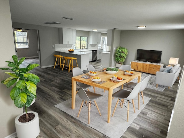 dining area featuring dark wood-type flooring and sink