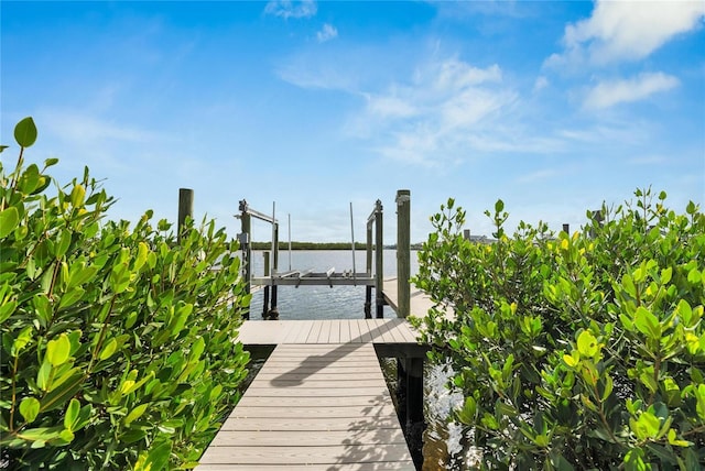 dock area featuring a water view