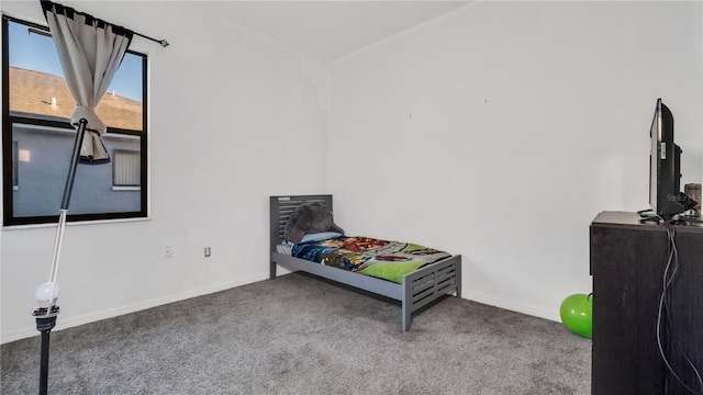 bedroom with carpet