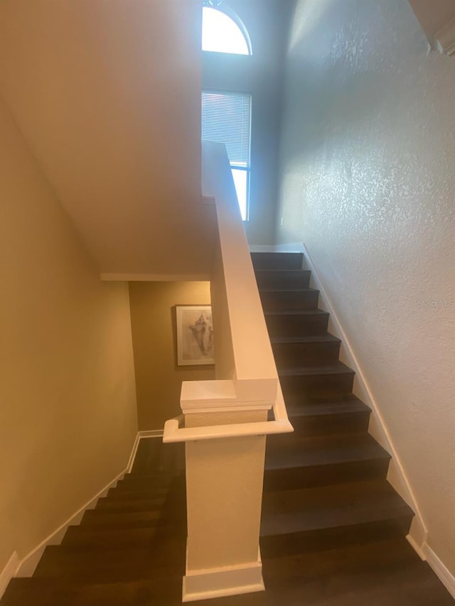 stairs featuring hardwood / wood-style flooring