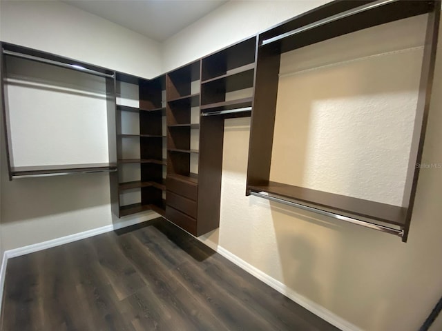 walk in closet with dark hardwood / wood-style floors