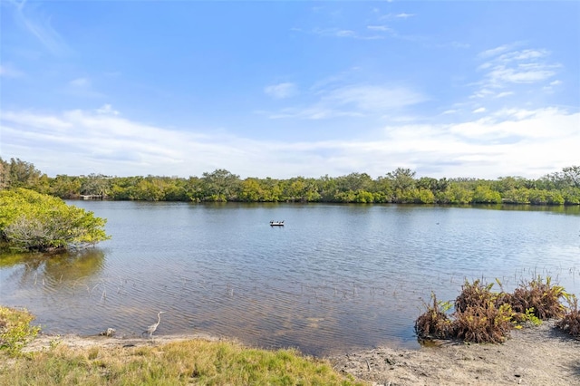 water view