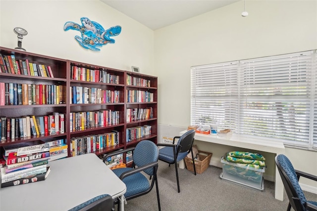 view of carpeted office