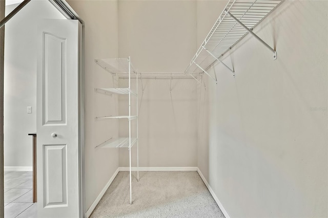 spacious closet featuring carpet floors