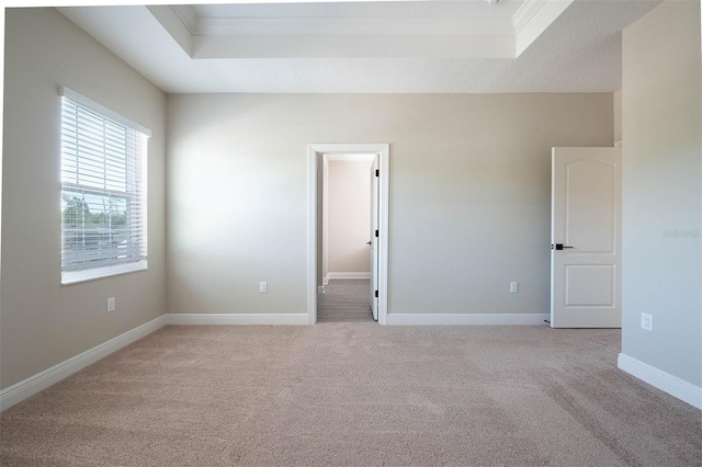 7757 Somersworth Dr, Kissimmee, FL 34747 - unfurnished bedroom featuring a tray ceiling, crown molding, light colored carpet, and a walk in closet