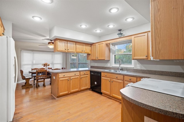 kitchen featuring kitchen peninsula, white appliances, ceiling fan, sink, and light hardwood / wood-style flooring