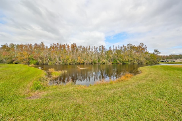 2003 Halmrock Pl, Sun City Center, FL 33573 - water view