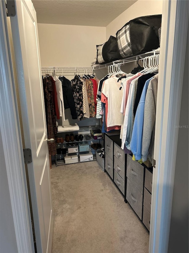 spacious closet featuring light carpet