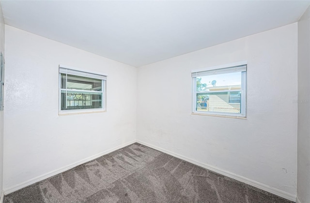 1536 77th Ave N, Saint Petersburg, FL 33702 - photo 25