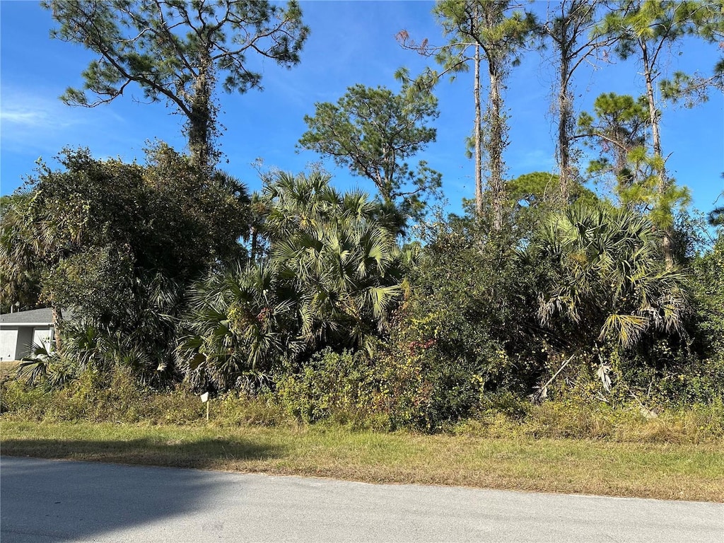8028 Windswept Cir, Labelle, FL 33935 - photo 2
