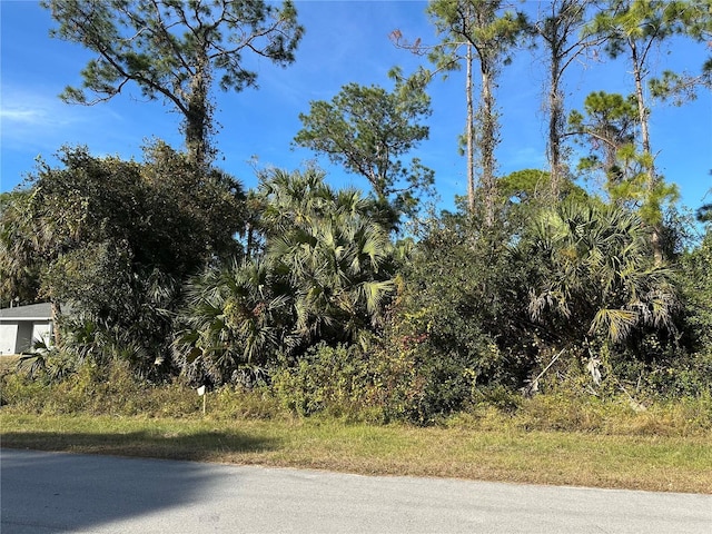 8028 Windswept Cir, Labelle, FL 33935 - photo 2
