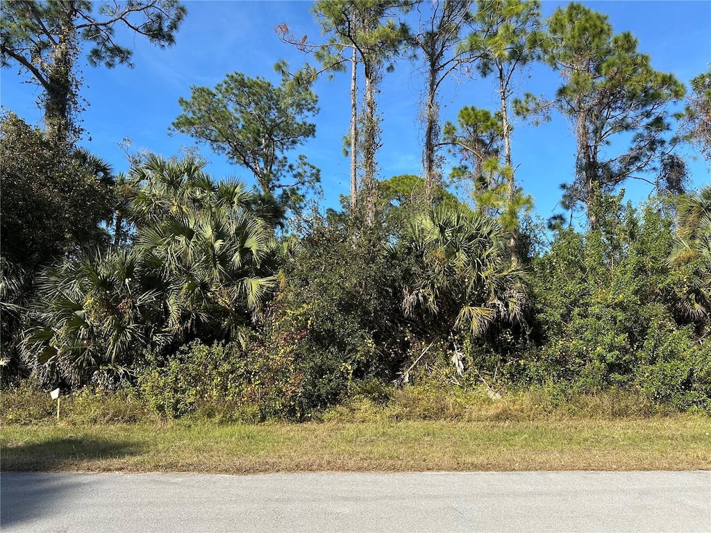 8028 Windswept Cir, Labelle, FL 33935 - photo 3