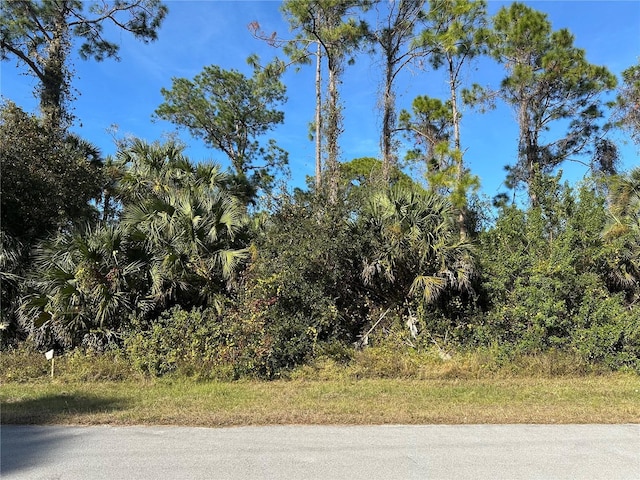 8028 Windswept Cir, Labelle, FL 33935 - photo 3