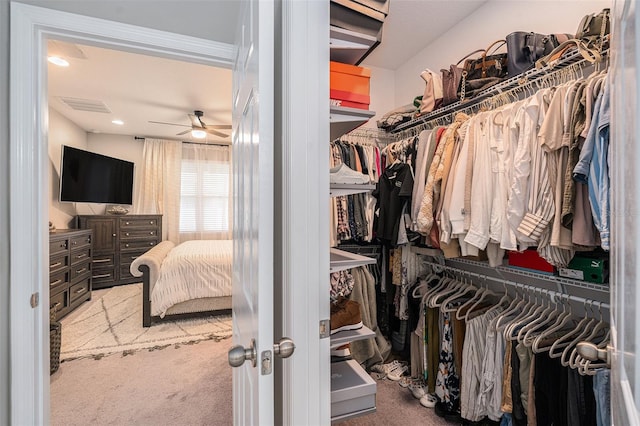 walk in closet featuring carpet floors, visible vents, and a ceiling fan