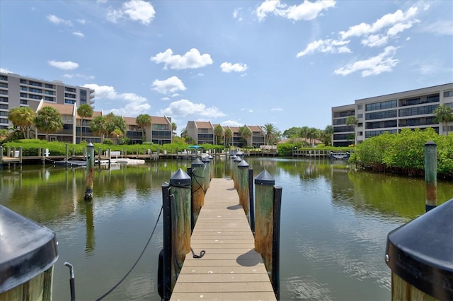 dock area with a water view