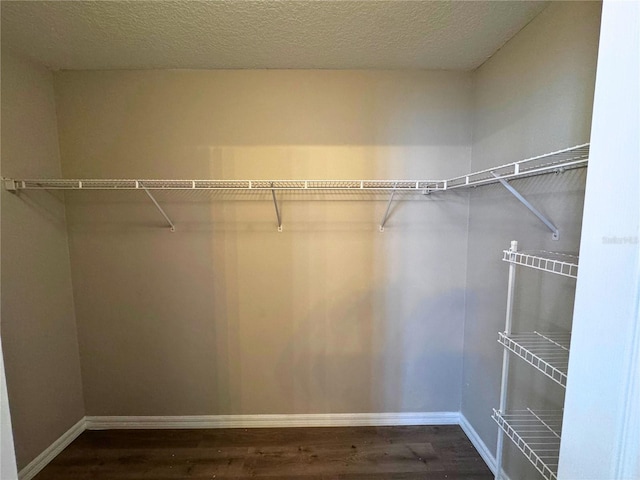 walk in closet with hardwood / wood-style floors