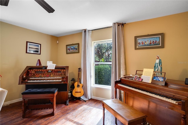 sitting room featuring a healthy amount of sunlight and wood-type flooring