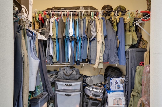 view of spacious closet