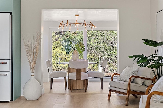 dining room with light hardwood / wood-style flooring and an inviting chandelier