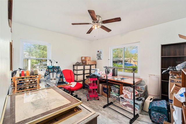 office with light hardwood / wood-style flooring, a wealth of natural light, and ceiling fan