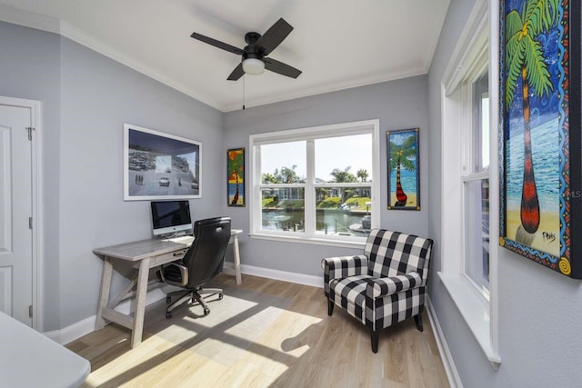 office area featuring ceiling fan, crown molding, and light hardwood / wood-style flooring