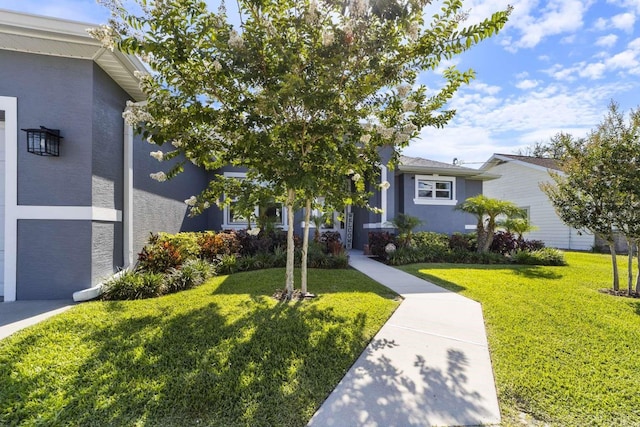 view of front of property with a front lawn