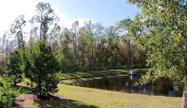 property view of water