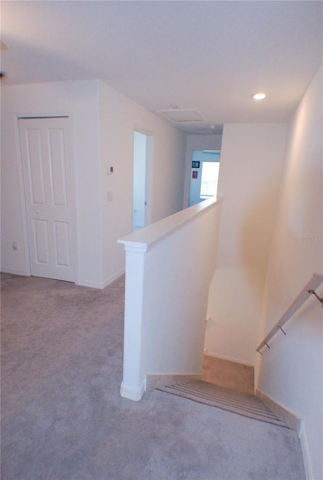 stairs featuring carpet flooring