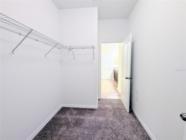 spacious closet featuring carpet