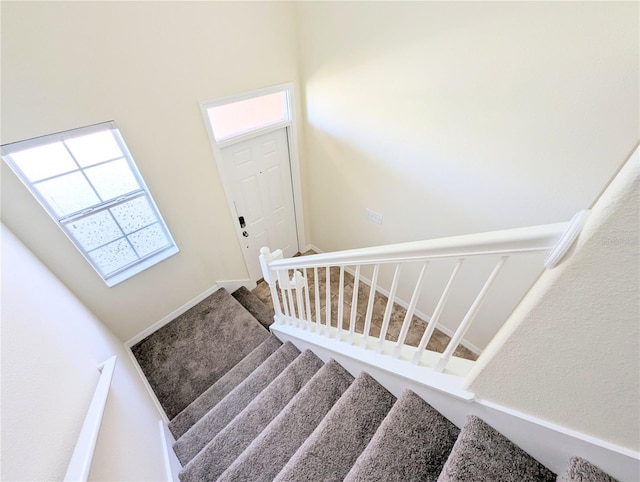 stairs featuring carpet floors