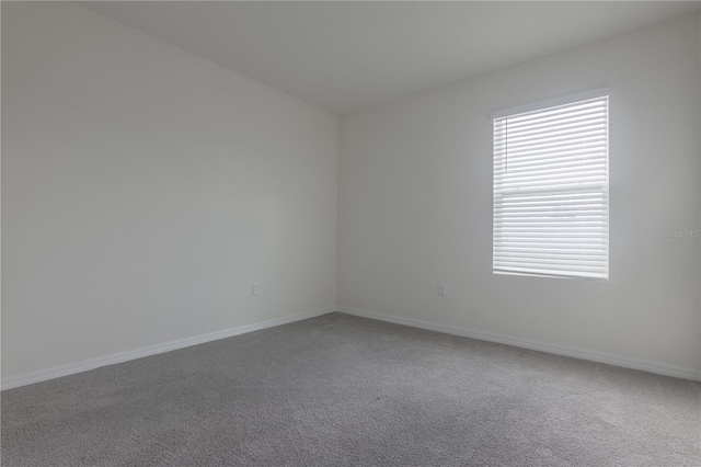 empty room featuring carpet