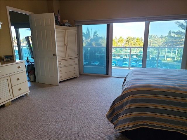 unfurnished bedroom with access to exterior, light colored carpet, and multiple windows