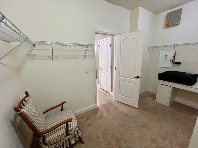 spacious closet featuring light colored carpet