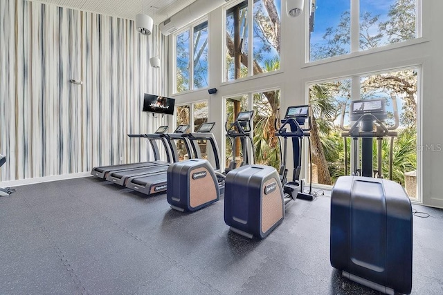 workout area featuring a wealth of natural light