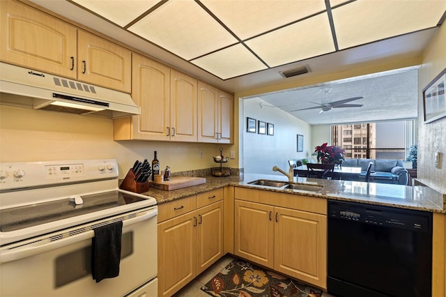 kitchen with light brown cabinetry, electric range, dishwasher, and sink