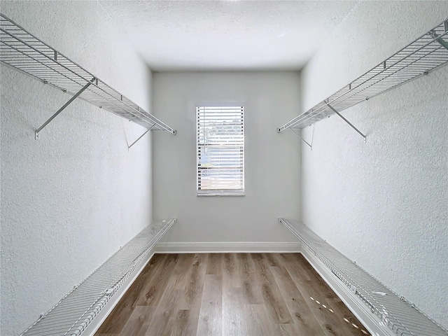 walk in closet with hardwood / wood-style flooring