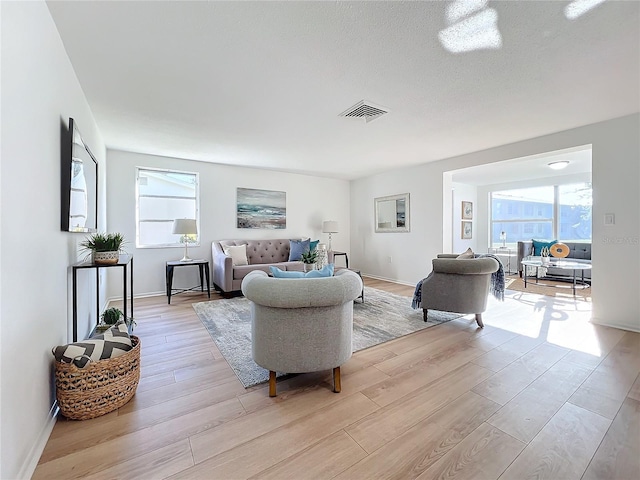 living room featuring light hardwood / wood-style floors