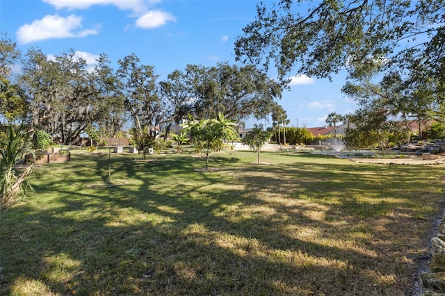 view of yard