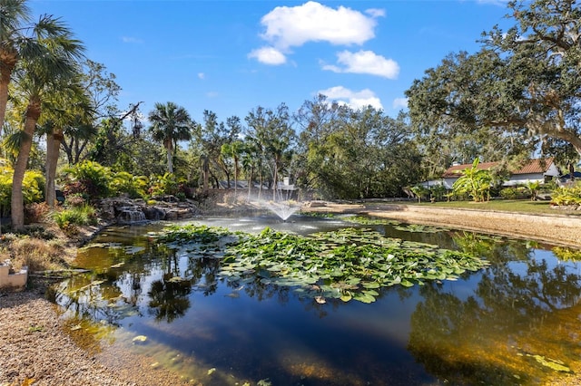 view of water feature