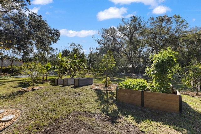 view of yard featuring a vegetable garden