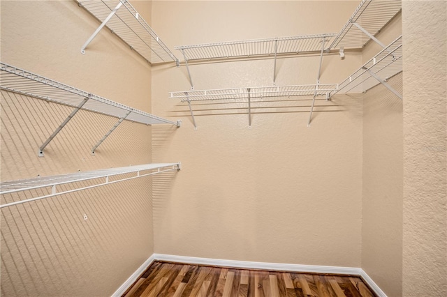 walk in closet with wood-type flooring