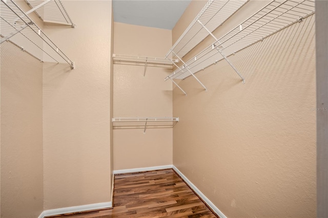 spacious closet with wood-type flooring